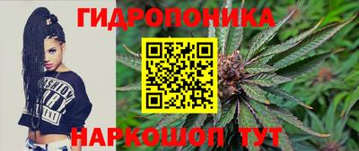 jwh Канаш