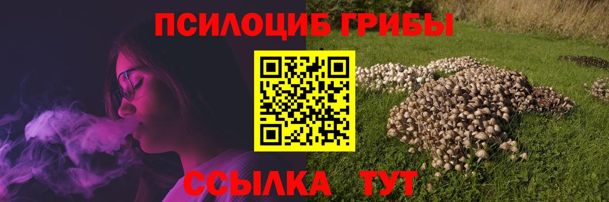 Псилоцибиновые грибы прущие грибы  Вход с VPN  Лабытнанги  Псилоцибиновые грибы мухоморы 